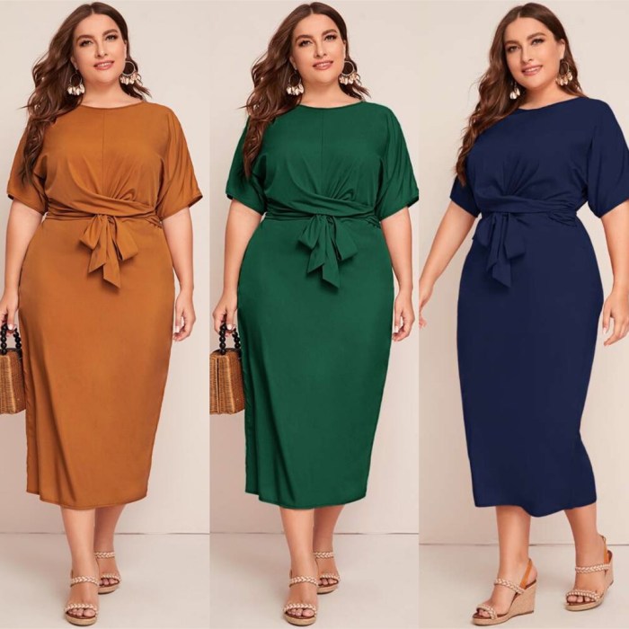 Plus size dress shirts for woman